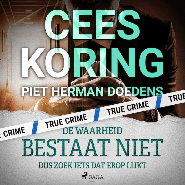 Book cover for De waarheid bestaat niet, dus zoek iets dat erop lijkt