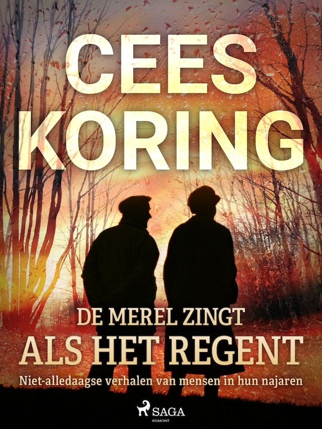 Book cover for De merel zingt als het regent