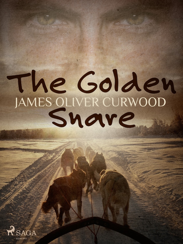 Book cover for The Golden Snare