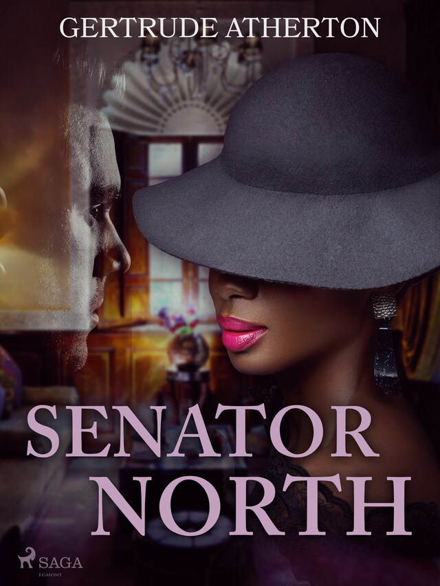 Book cover for Senator North
