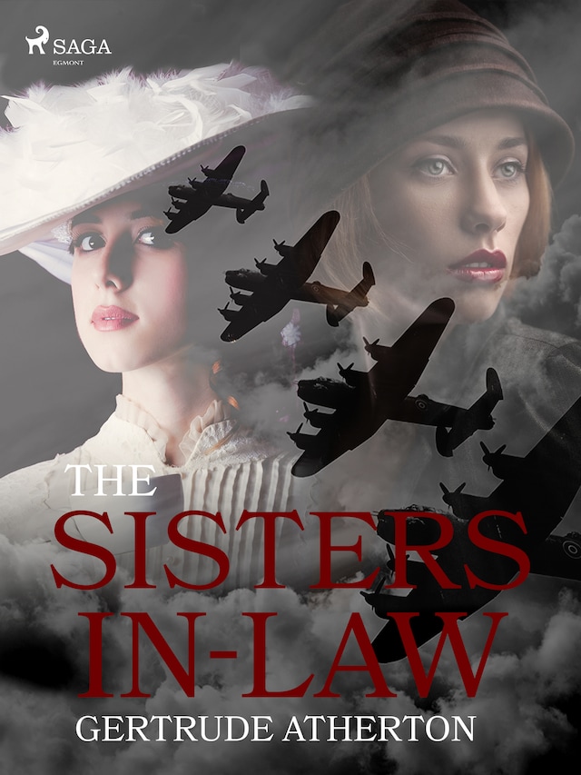 Book cover for The Sisters-In-Law