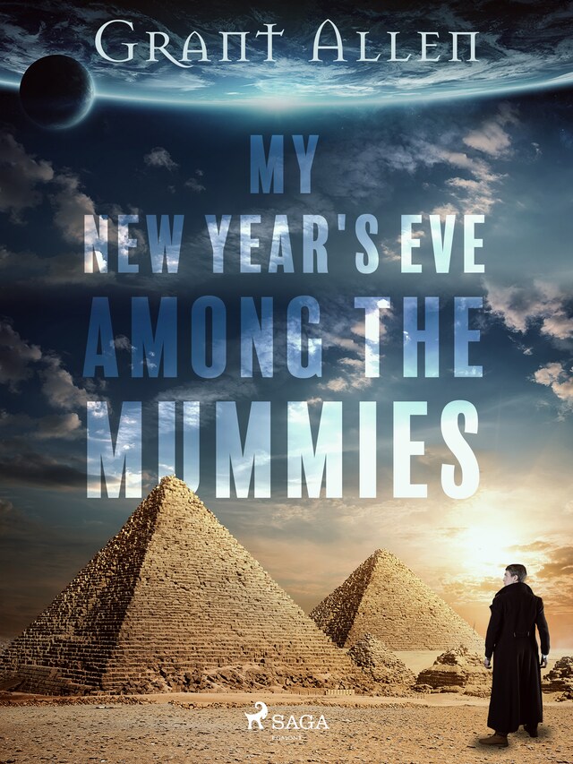 Book cover for My New Year's Eve Among the Mummies