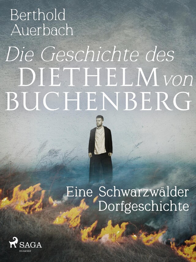 Book cover for Die Geschichte des Diethelm von Buchenberg. Eine Schwarzwälder Dorfgeschichte
