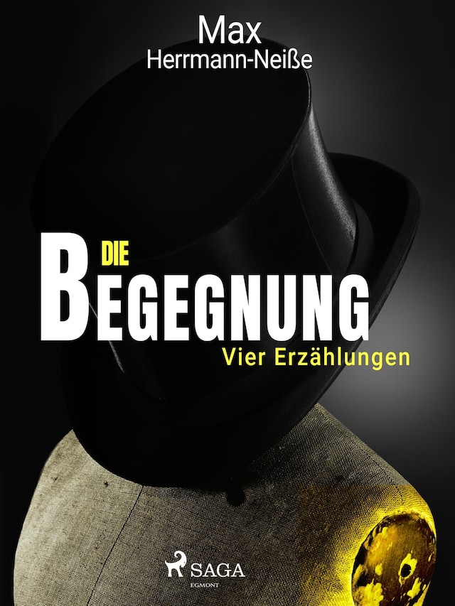 Boekomslag van Die Begegnung. Vier Erzählungen