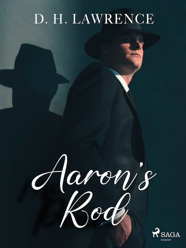 Buchcover für Aaron's Rod