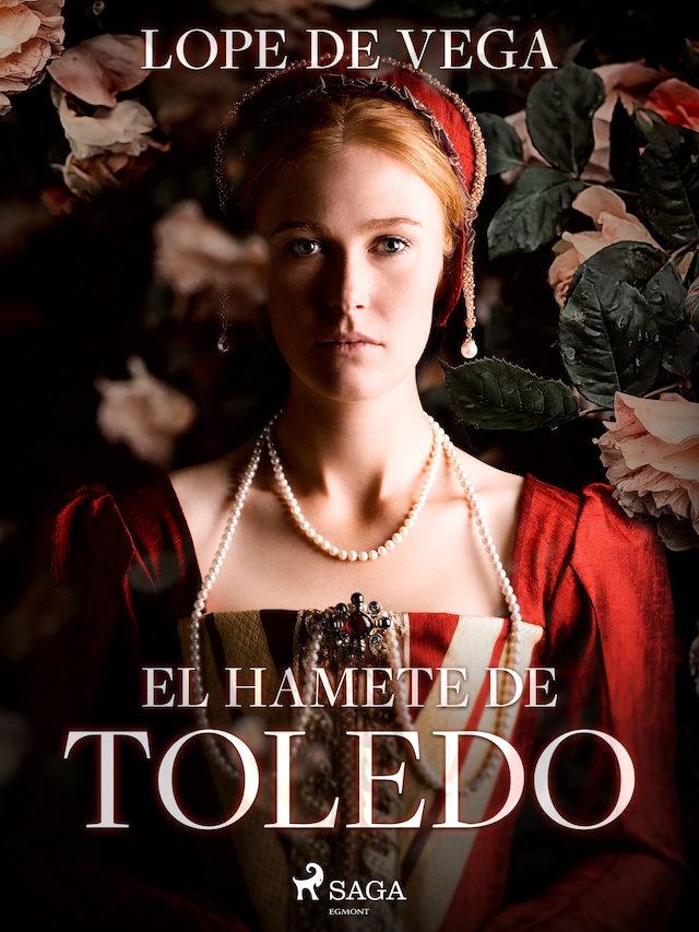 Book cover for El hamete de Toledo