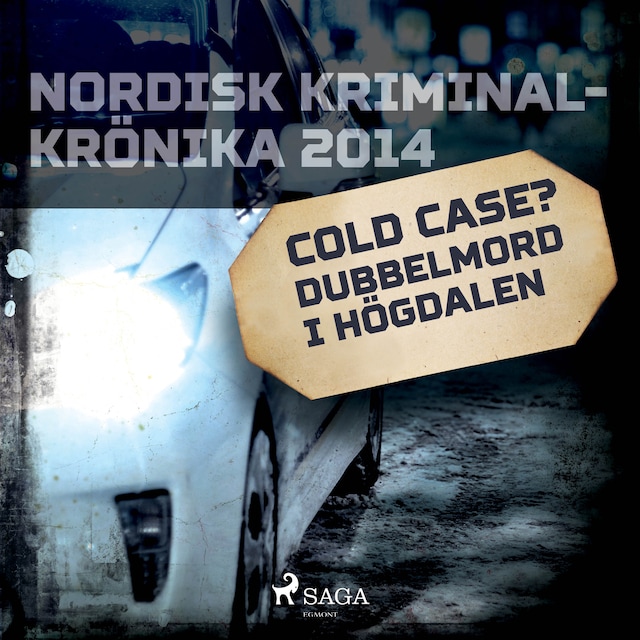 Book cover for Cold case? Dubbelmord i Högdalen