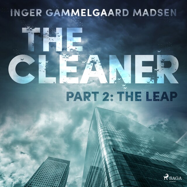 Boekomslag van The Cleaner 2: The Leap