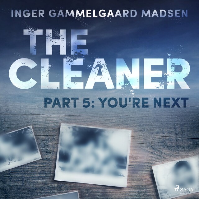 Book cover for The Cleaner 5: You're Next