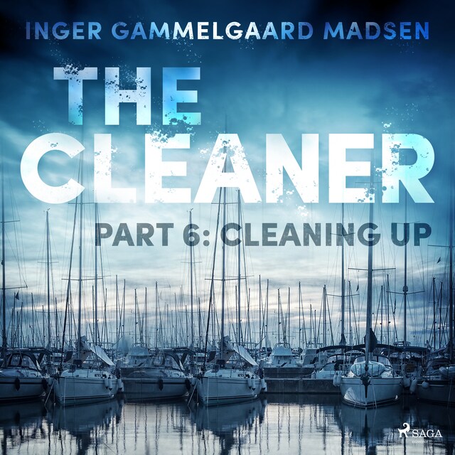 Book cover for The Cleaner 6: Cleaning Up