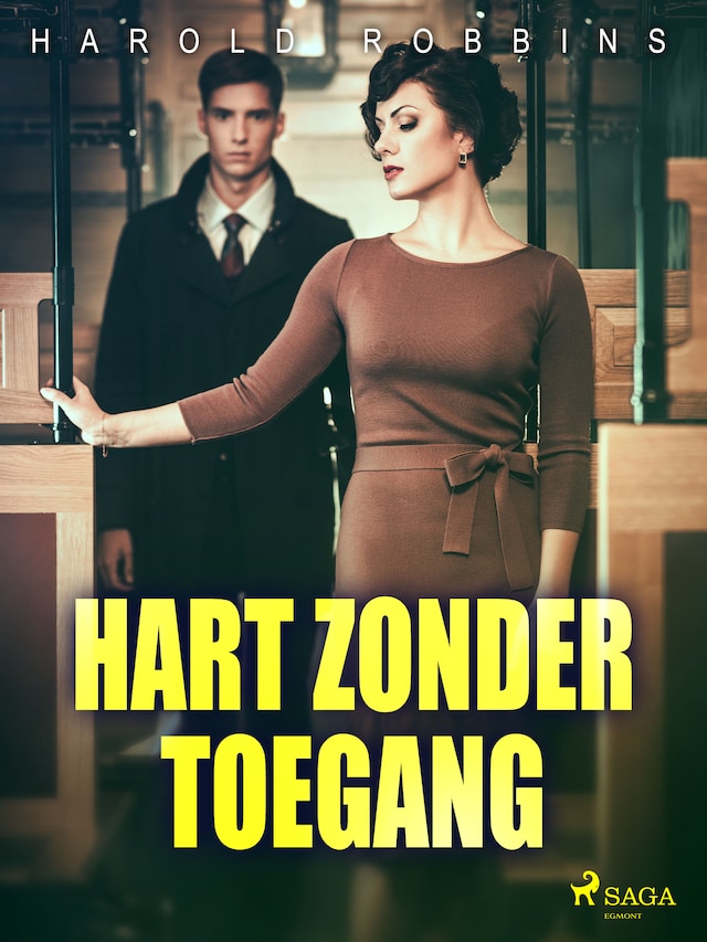 Book cover for Hart zonder toegang
