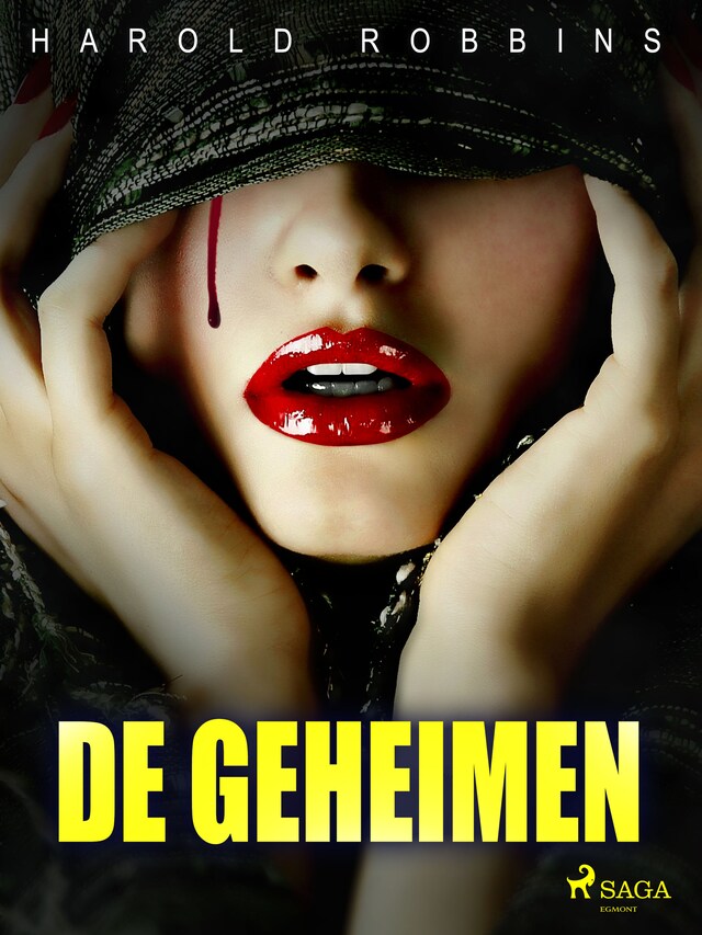 Book cover for De geheimen