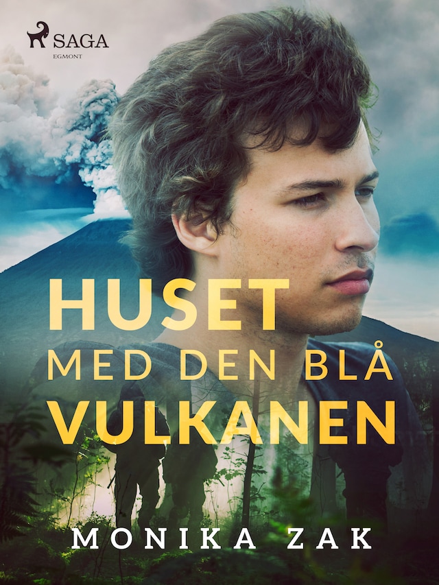 Book cover for Huset med den blå vulkanen