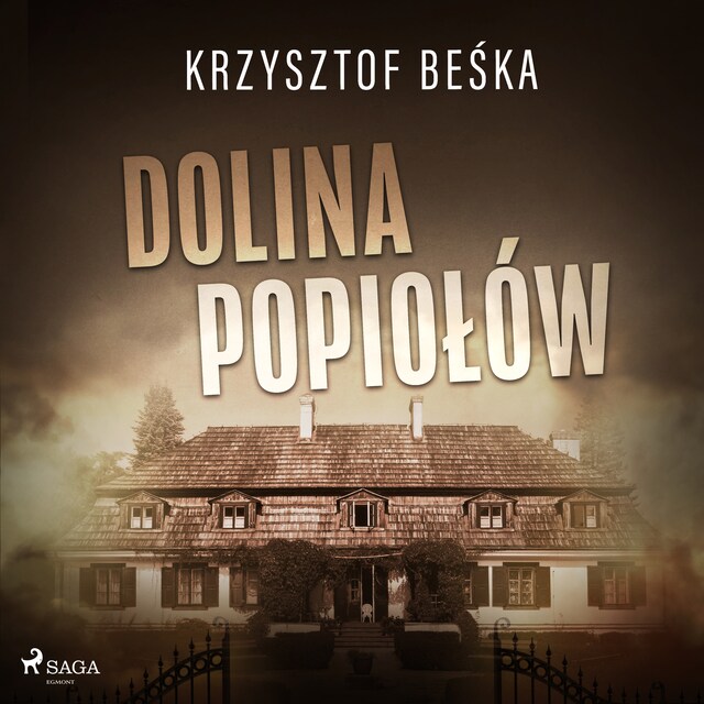 Book cover for Dolina popiołów
