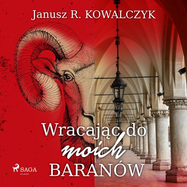 Book cover for Wracając do moich Baranów