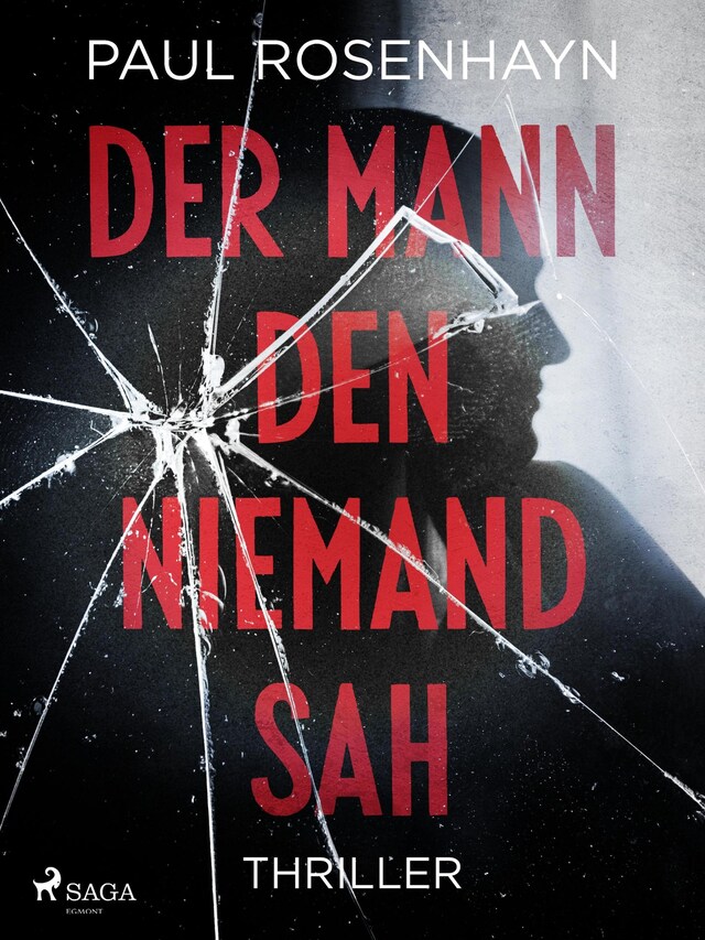 Book cover for Der Mann, den niemand sah - Thriller