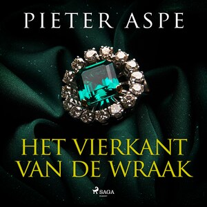 Het vierkant van de wraak - luisterboek