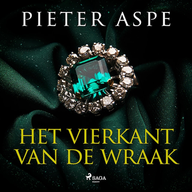 Book cover for Het vierkant van de wraak