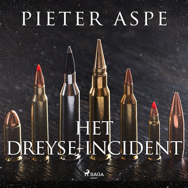 Buchcover für Het Dreyse-incident