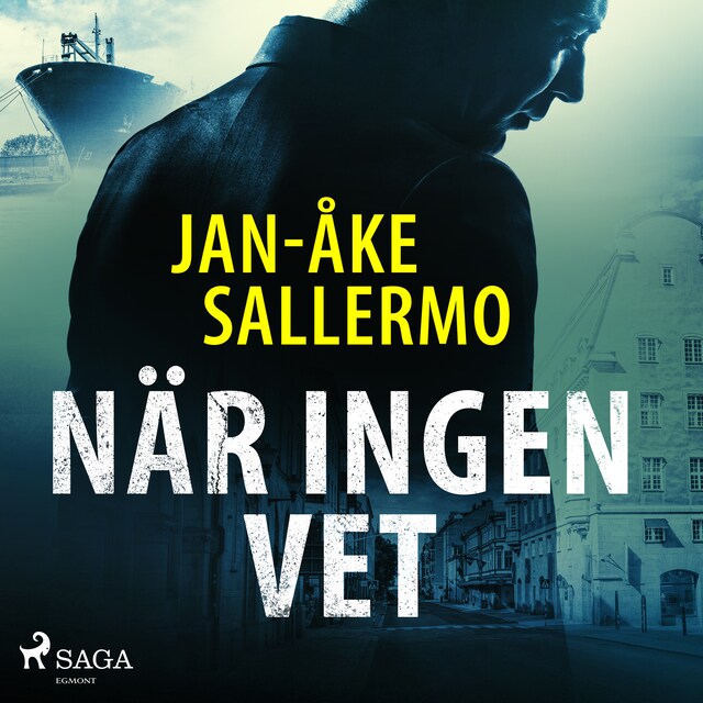 Book cover for När ingen vet