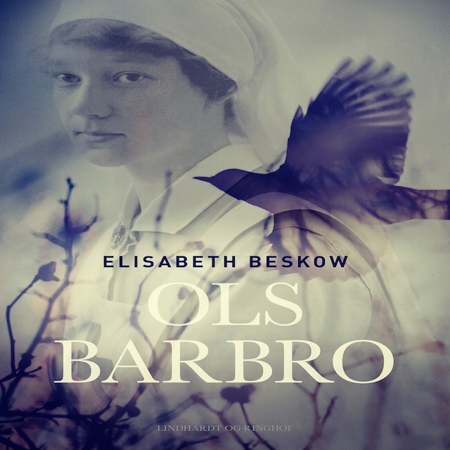 Book cover for Ols Barbro