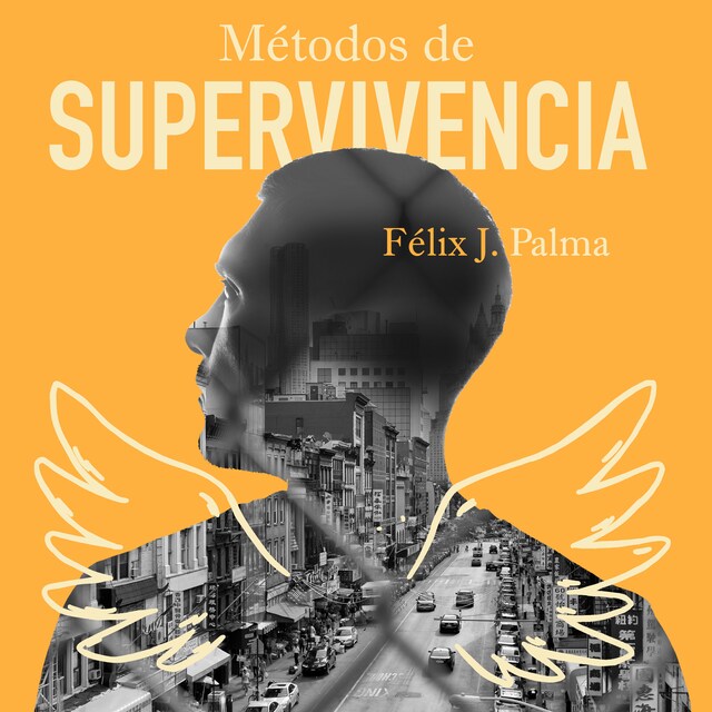 Book cover for Métodos de supervivencia