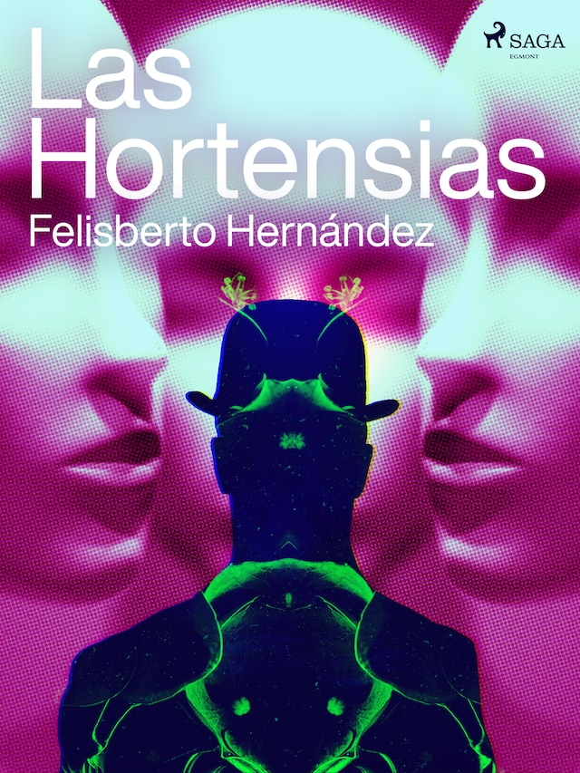 Bogomslag for Las hortensias