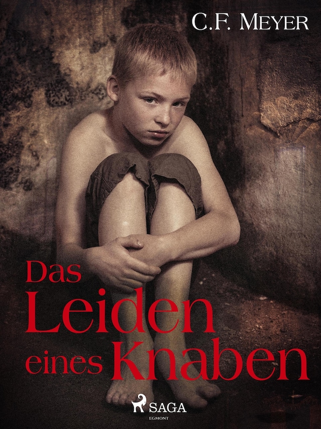 Book cover for Das Leiden eines Knaben