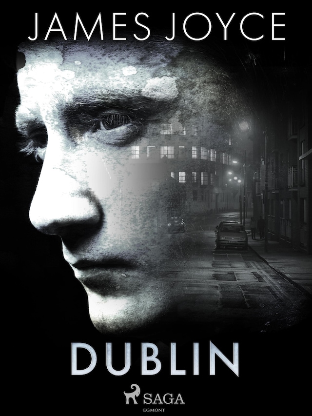 Buchcover für Dublin