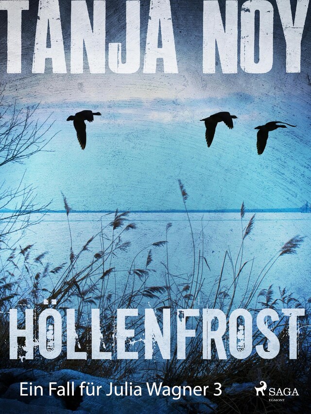 Book cover for Höllenfrost - Ein Fall für Julia Wagner: Band 3