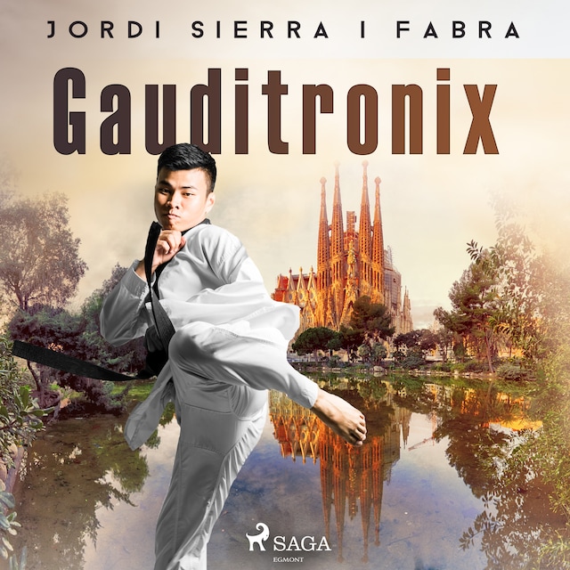 Book cover for Gauditronix