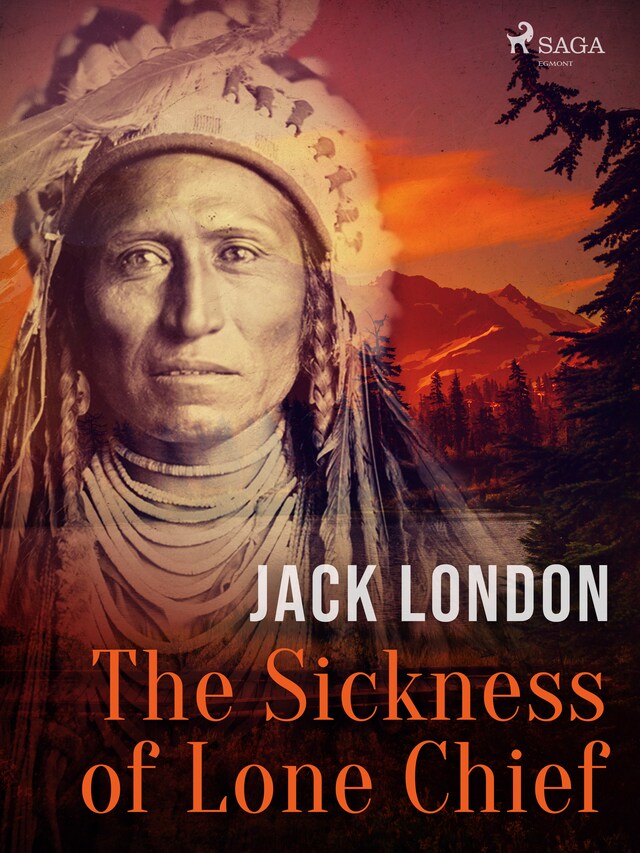 Boekomslag van The Sickness of Lone Chief