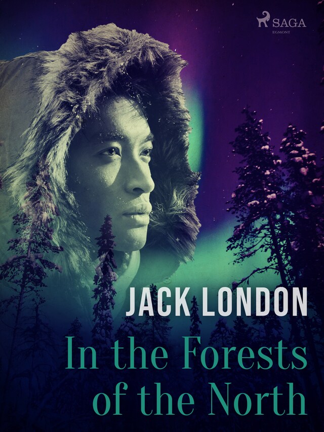 Book cover for In the Forests of the North