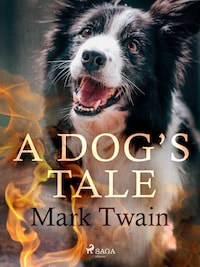 A Dog's Tale