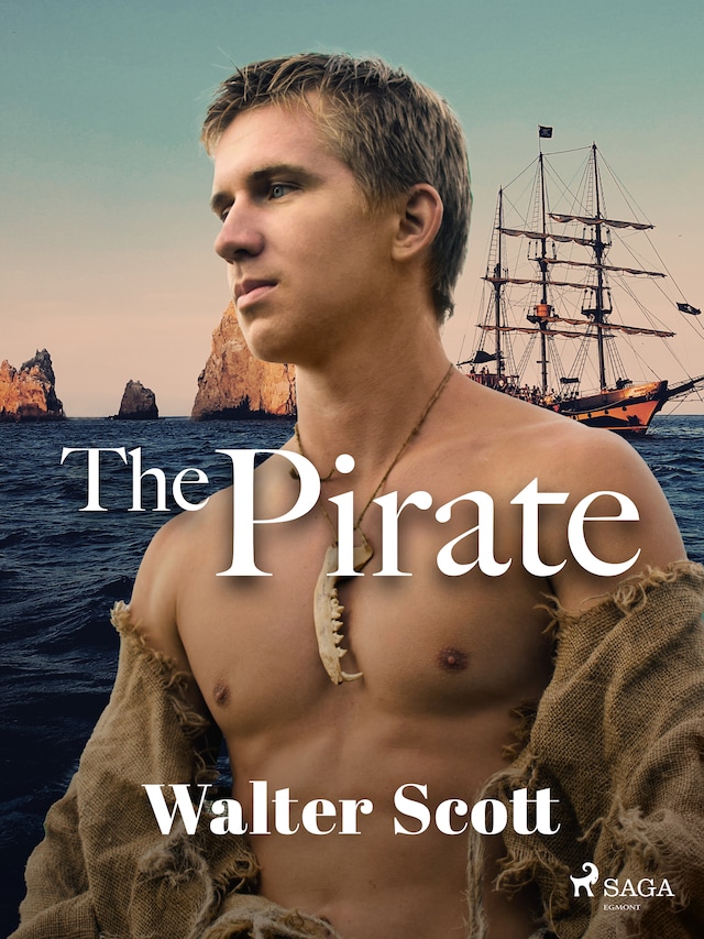 Book cover for The Pirate