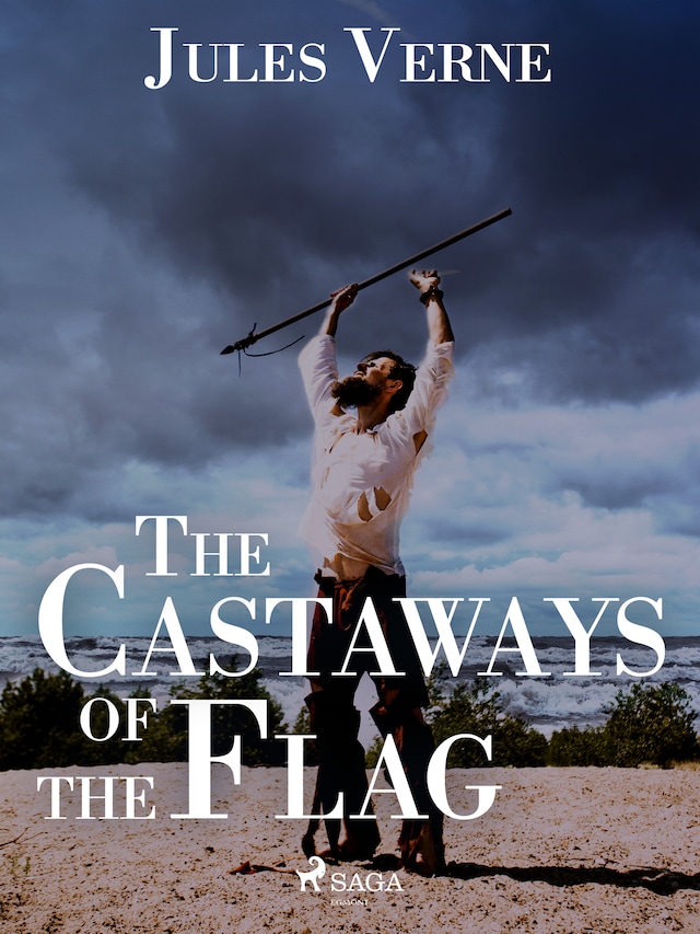 Book cover for The Castaways of the Flag
