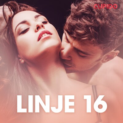 Linje 16 – erotisk novelle