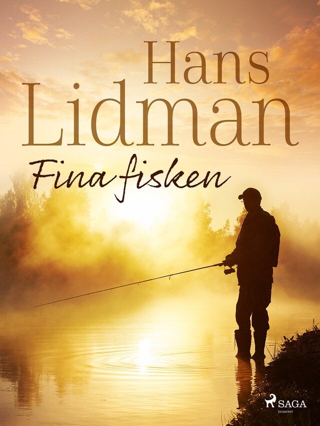 Couverture de livre pour Fina fisken