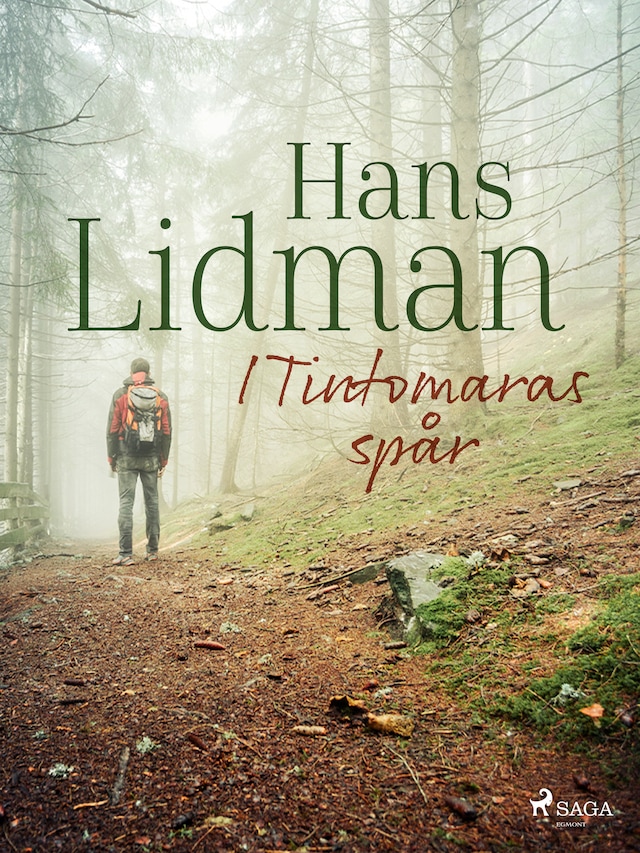 Buchcover für I Tintomaras spår