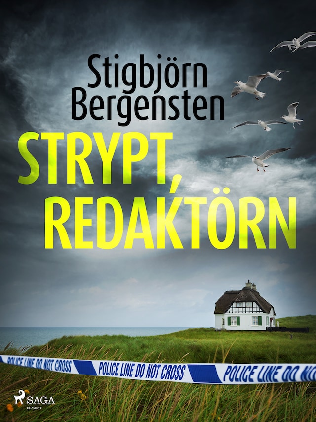 Book cover for Strypt, redaktörn
