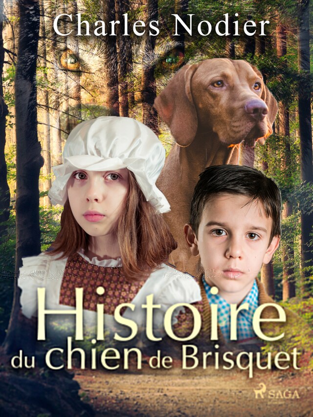 Couverture de livre pour Histoire du chien de Brisquet