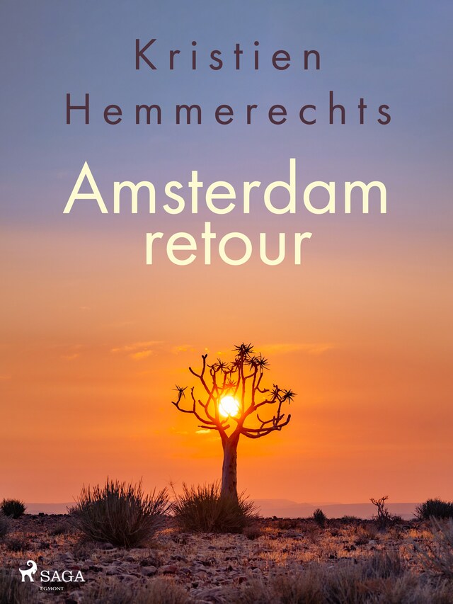Book cover for Amsterdam retour