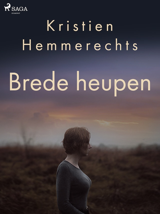 Book cover for Brede heupen