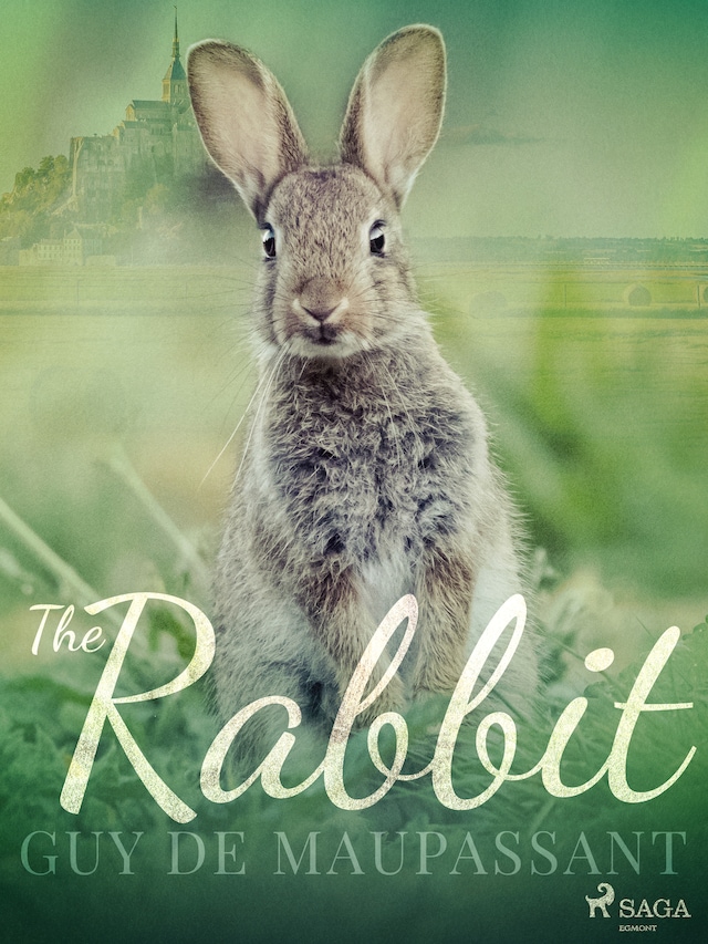 Boekomslag van The Rabbit