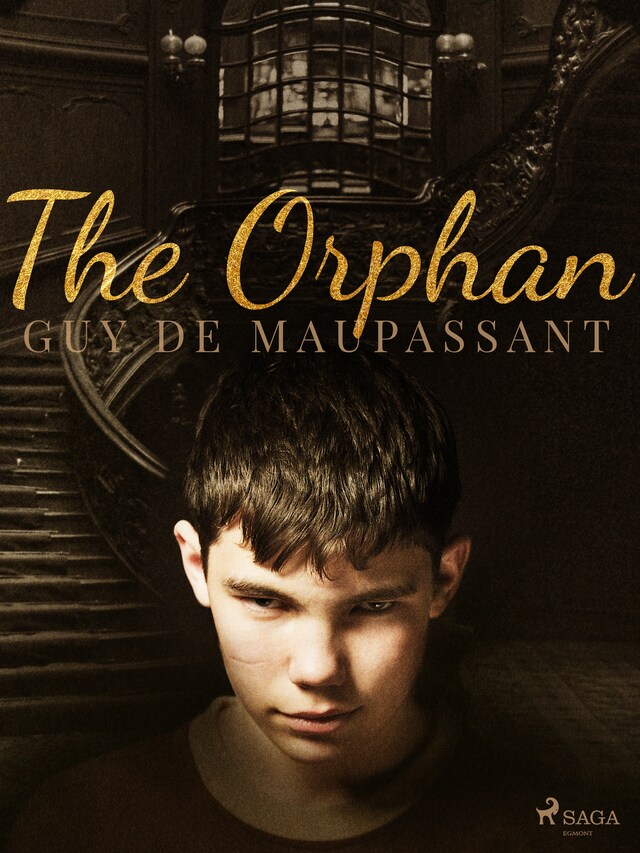 Copertina del libro per The Orphan