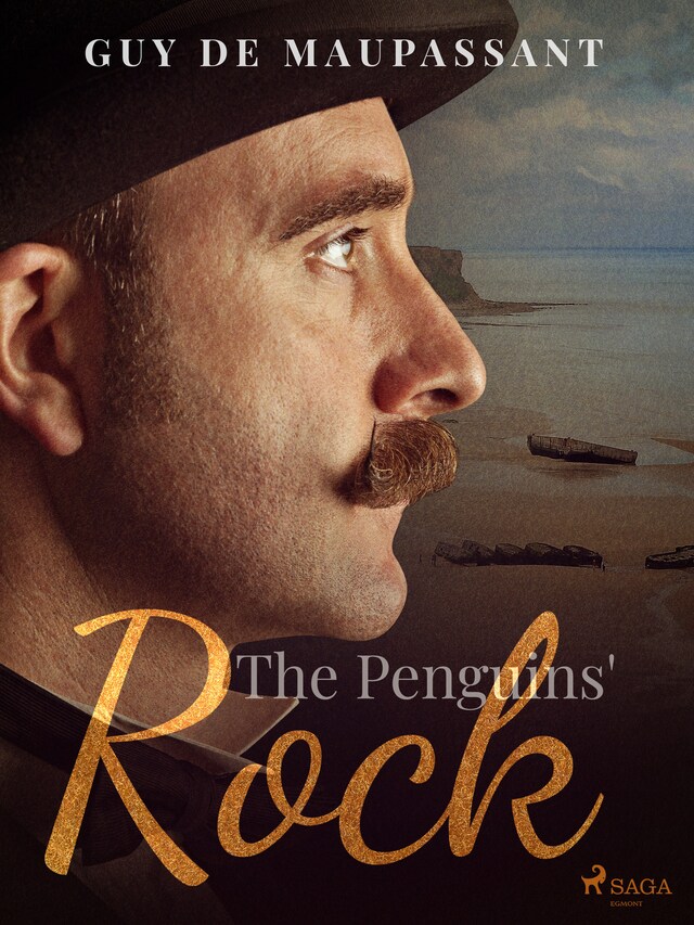 Boekomslag van The Penguins' Rock