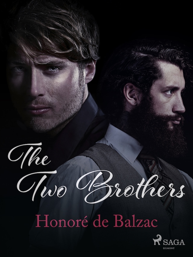 Couverture de livre pour The Two Brothers