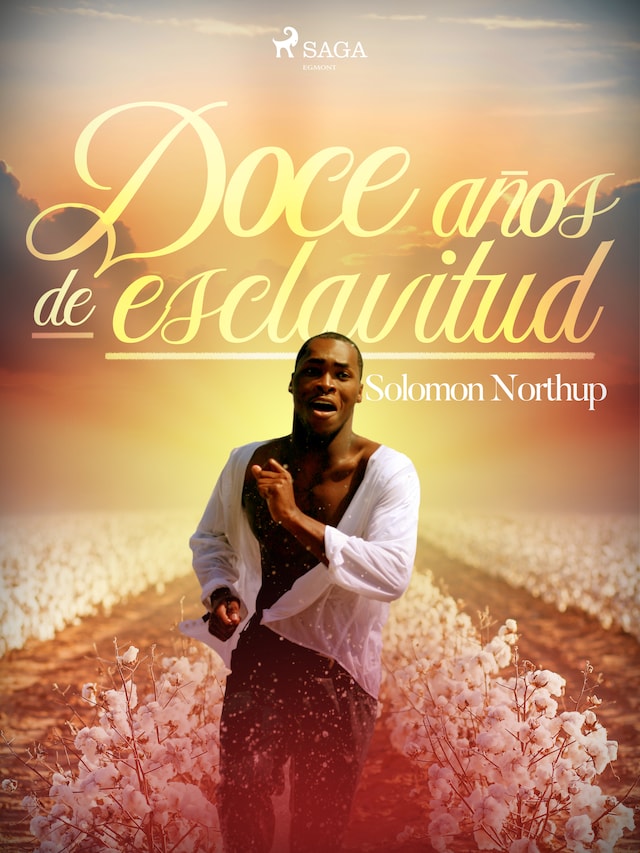 Book cover for Doce años de esclavitud