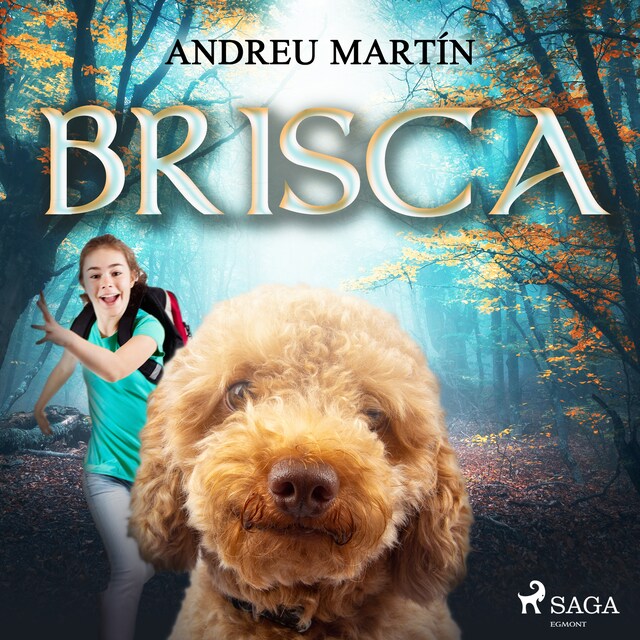Buchcover für Brisca