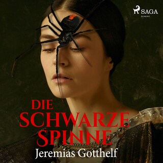 Die schwarze Spinne als Hörbuch